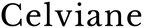 Celviane – Accueil